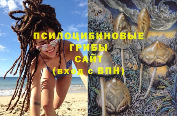 шишки Сосновка