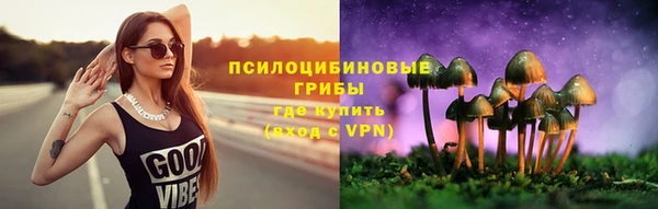 шишки Сосновка