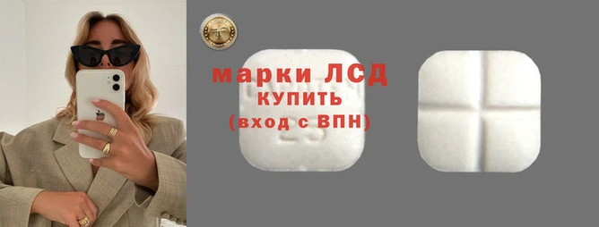 гидропоника Сосновоборск