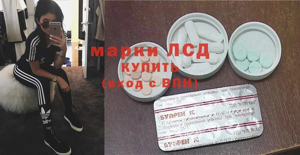 шишки Сосновка