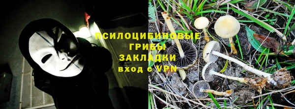шишки Сосновка