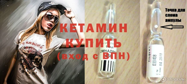 шишки Сосновка