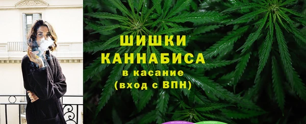 гидропоника Сосновоборск